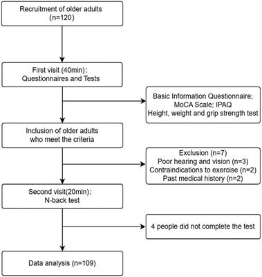 Correlates of physical activity levels, muscle strength, working memory, and cognitive function in older adults